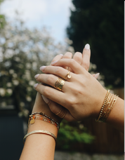 Sar I Manchette en Acier Inoxydable