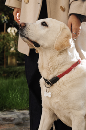 Woof | Médaille pour Chiens